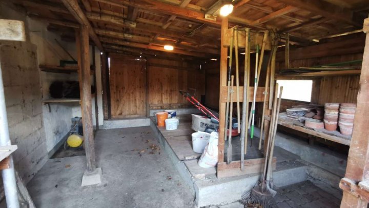 Kleines Haus auf großem Grundstück