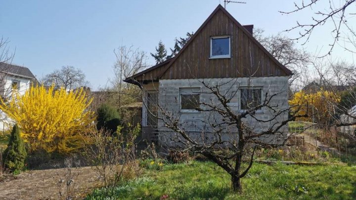 Kleines Haus auf großem Grundstück