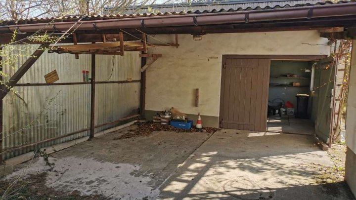 Kleines Haus auf großem Grundstück
