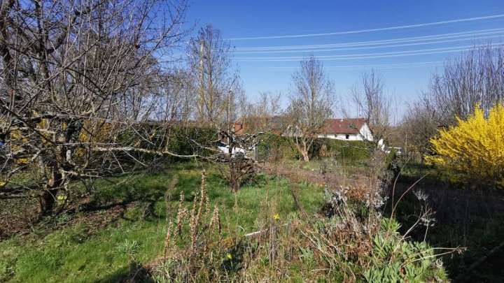 Kleines Haus auf großem Grundstück