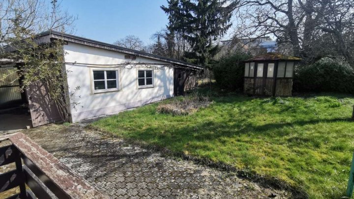 Kleines Haus auf großem Grundstück