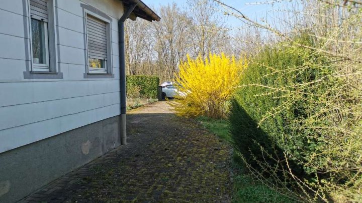 Kleines Haus auf großem Grundstück