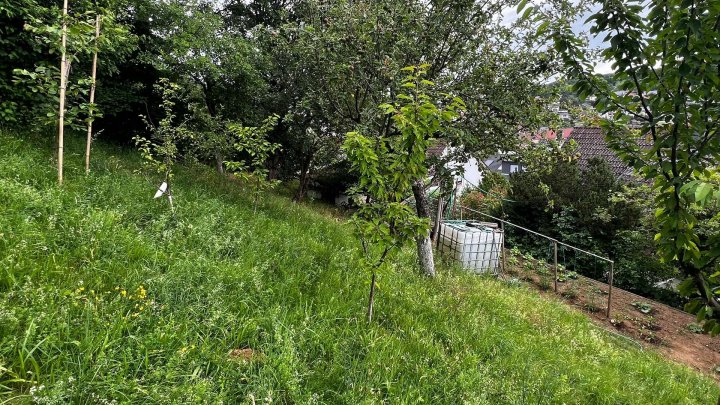 *Gepflegtes Haus mit 3 Wohnungen, Balkon, Terrasse &Garage zu verkaufen*