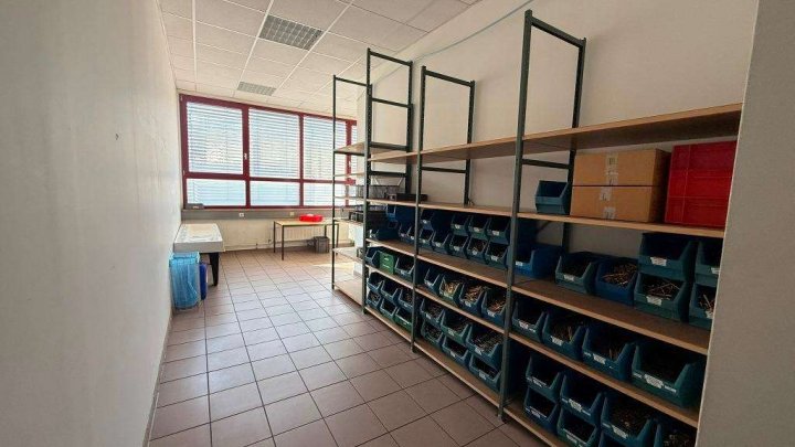 Attraktive Gewerbeimmobilie mit Büro-, Produktions- und Hallenflächen in Königsbach-Stein