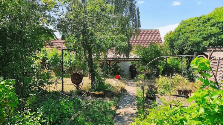 Stimmige Kapitalanlage! - 3 FH in Oberderdingen