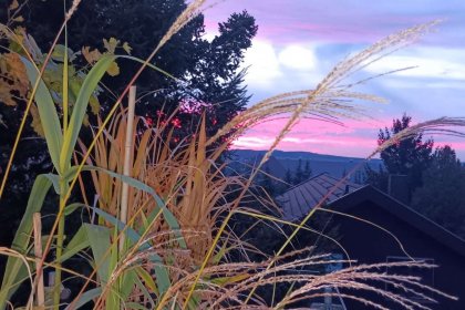 Ausblick