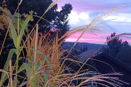 Ausblick