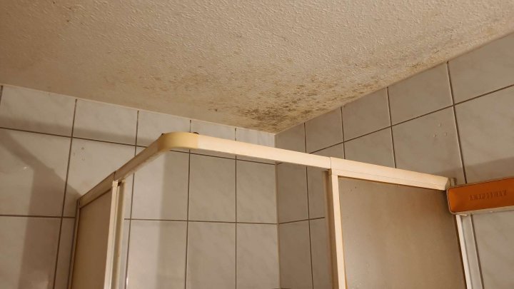 Sanierungsbedürftiges 1 Zimmer Appartement