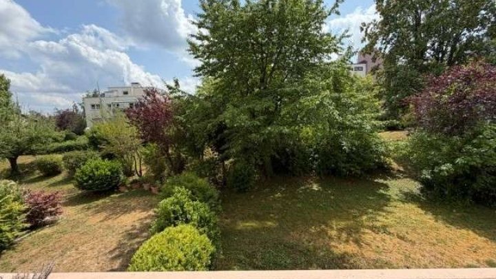 2-Zimmerwohnung mit großem Südbalkon - Günstig und sofort frei
