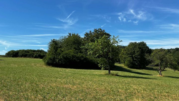 Landwirtschafts- und Waldgrundstücke ab 2,50 €/m²