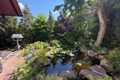 Garten mit angelegtem Teich
