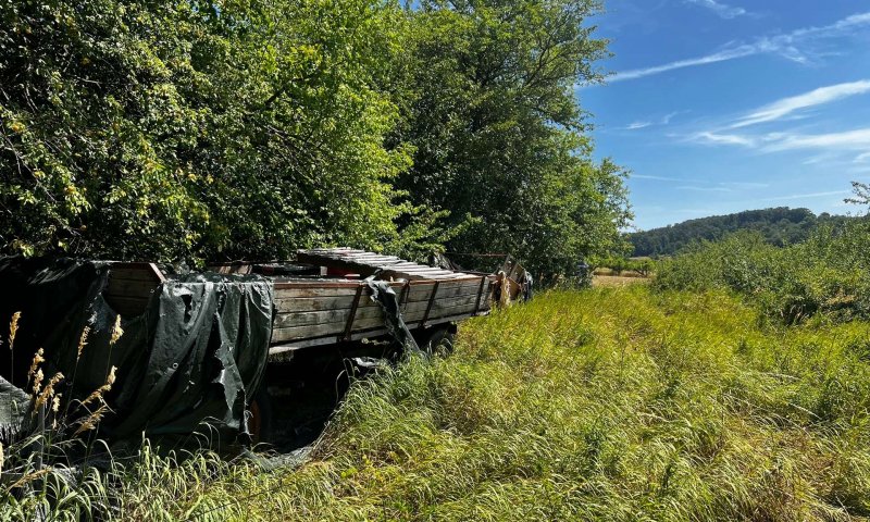 Landwirtschafts- und Waldgrundstücke ab 2,50 €/m²