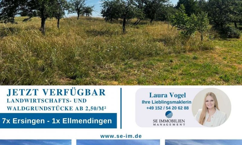 Landwirtschafts- und Waldgrundstücke ab 2,50 €/m²