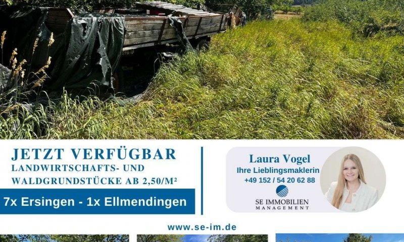 Landwirtschafts- und Waldgrundstücke ab 2,50 €/m²