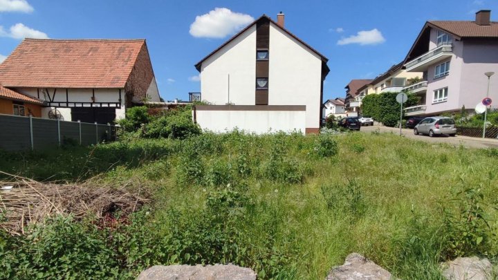 Ihr kleines Paradies * Einfamilienhaus mit kl. Garten nach Ihren Wünschen