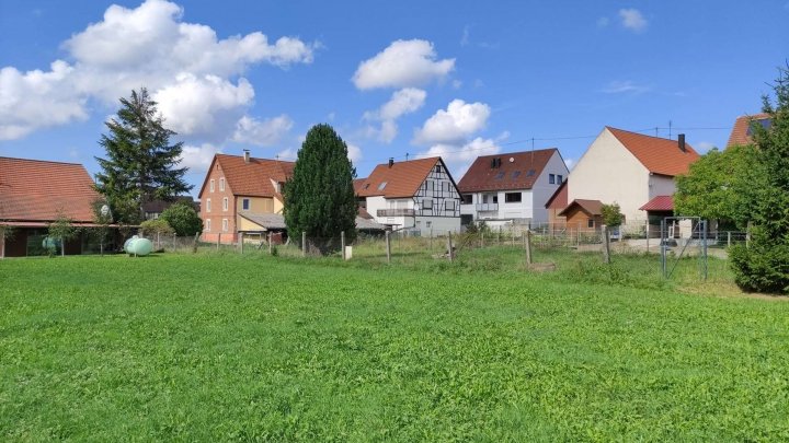 großzügiges Grundstück für Ihre Familie * grün, ebenerdig, rechteckig