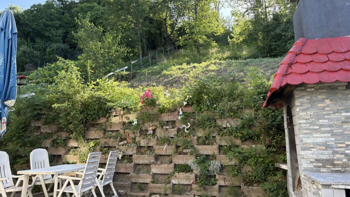 1-Fam Haus mit Einliegerwohnung * Naturnah wohnen mit Platz für die ganze Familie + Pflegekraft