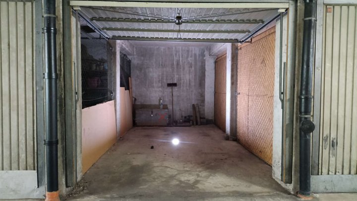 Wohnen im Grünen ! Familienfreundliche und großzügige Wohnung, zentral im Waldpark