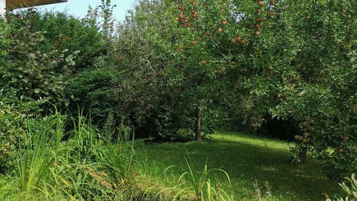 Viel Platz für die große Familie