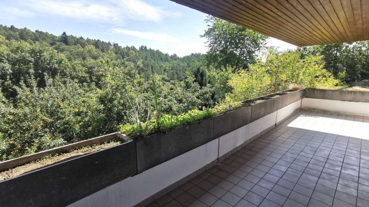 Viel Platz für die große Familie