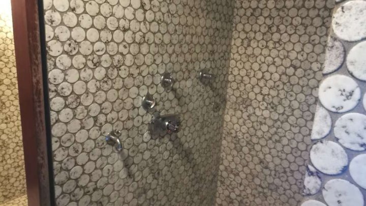 Viel Platz für die große Familie