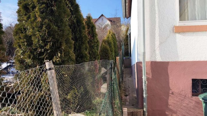 Praktisches kleines Haus mit viel Potential!