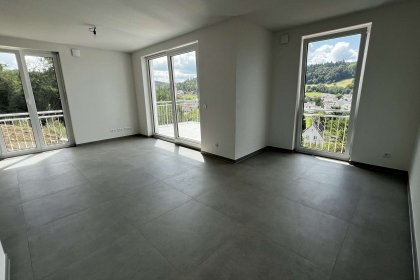 Wohn-Esszimmer (OG)  (8)