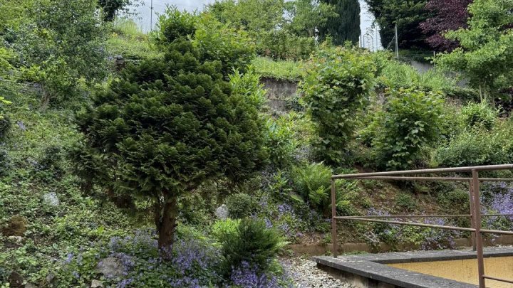 Sensationelle Gelegenheit für große Familien oder Mehrgenerationenhaushalte mit Handwerksgeschick!