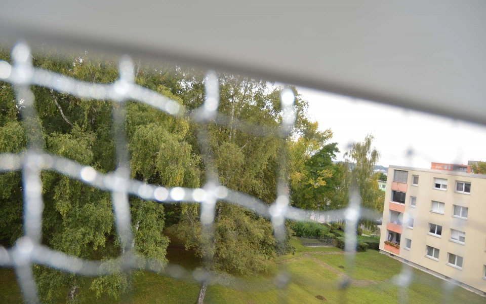 Aussicht ins Grüne.