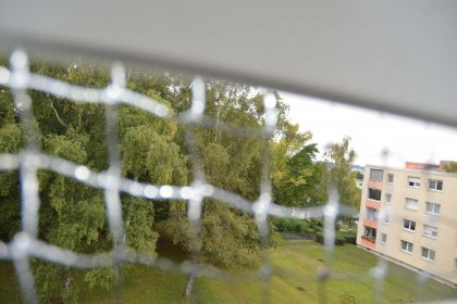 Aussicht ins Grüne.