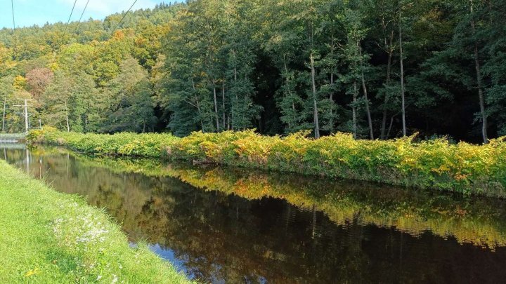 Alles was ich brauche * Tiny House inklusive Grundstück in Neuenbürg