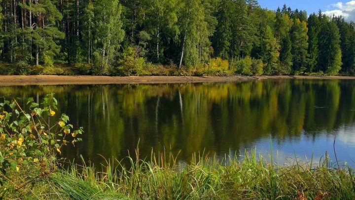 Tiny House inklusive Grundstück am Gewässer * Bezugsfertig gebaut