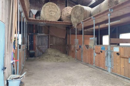 Innenansicht Stallung