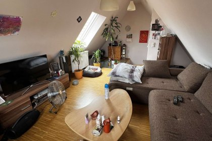Wohnzimmer (4)
