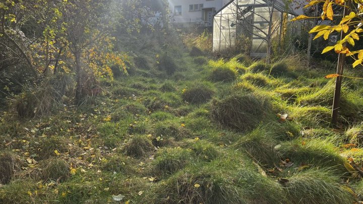 Großes Grundstück, Sanierungsobjekt mit Scheune und viel Potenzial in Büchenbronn