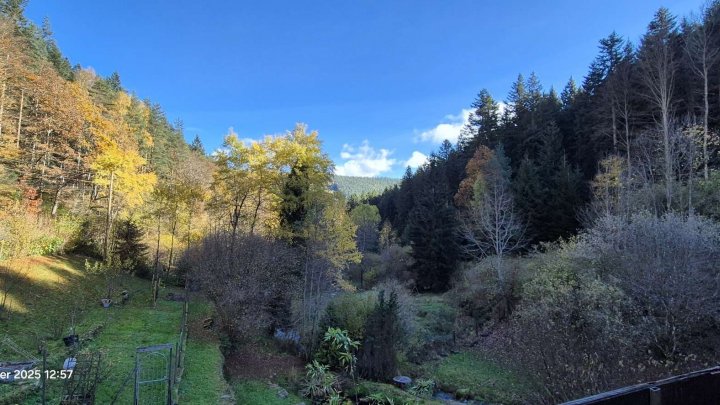 Für Naturliebhaber, freistehendes Haus in herrlicher Lage mitten im Wald. Fast autark