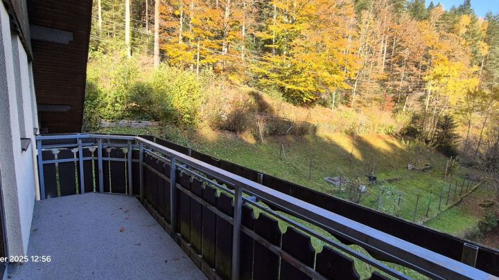 Für Naturliebhaber, freistehendes Haus in herrlicher Lage mitten im Wald. Fast autark