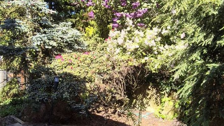Schönes Haus mit Traumaussicht, Einliegerwohnung, schönem Garten und Garage zu verkaufen!