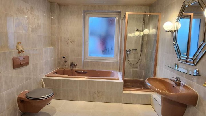 5 Wohnungen umsetzbar, Gewerbe & Hinterhaus! Alles unter 2 Dächern!