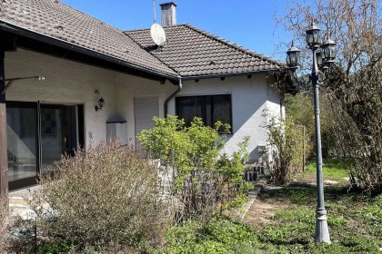 Garten 5
