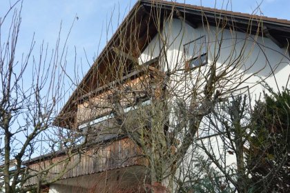 Haus aus der Gartenseite