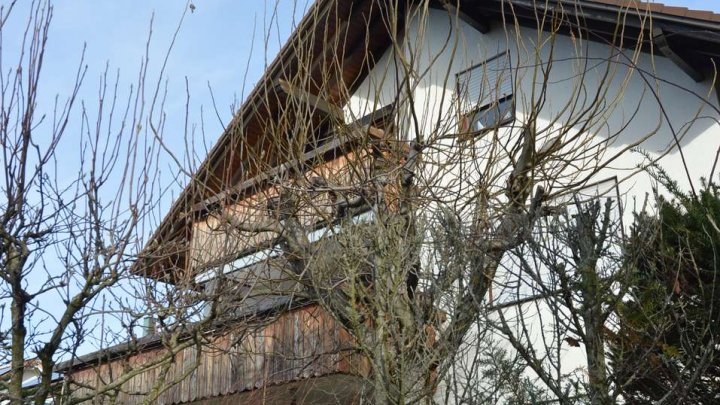 Top gepflegtes 3-Familienhaus mit Fernsicht-Garten-Terrasse & Sauna