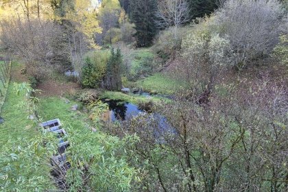 Garten mit großem Teich