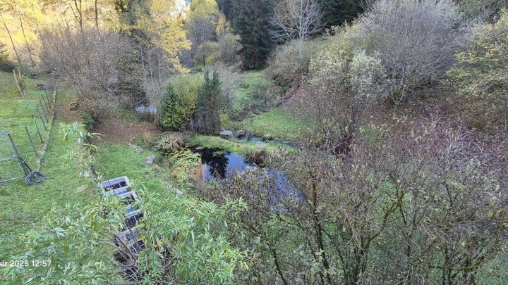 Für Naturliebhaber, freistehendes Haus plus Gewerbehalle in herrlicher Lage mitten im Wald
