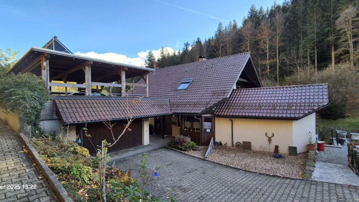 Für Naturliebhaber, freistehendes Haus plus Gewerbehalle in herrlicher Lage mitten im Wald