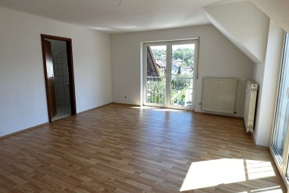 Wohn-Esszimmer (2)