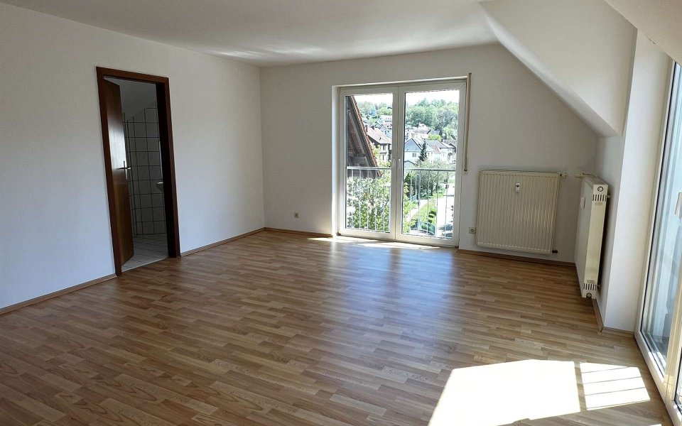 Wohn-Esszimmer (2)